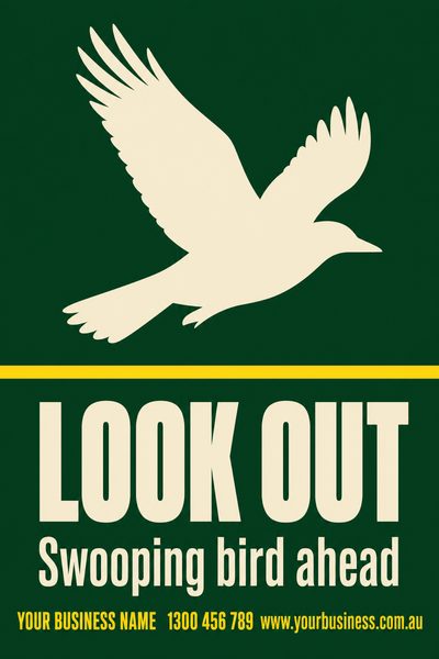 Look Out