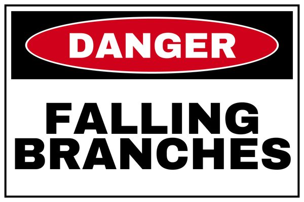 FALLING BRANCHES — Low Clearance & Overhead Hazard design